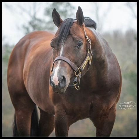 Image result for vs Code Red