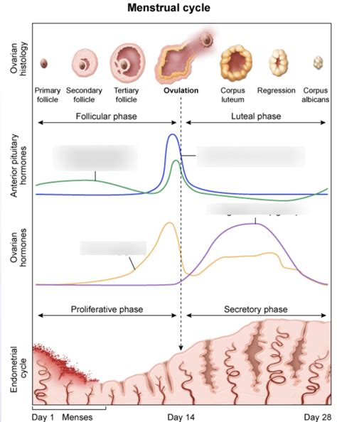 Period Cycle Graph 的图像结果
