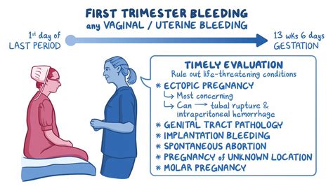 Video: Approach to first trimester bleeding: Clinical sciences | Osmosis