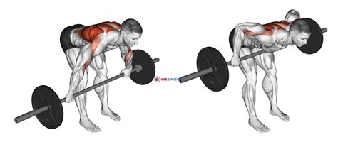 Bent Over Barbell Row Hand Position at Frank Keith blog