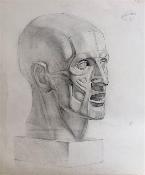 Image result for Cunstructive Figure Drawing