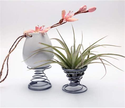 Buy Metal Holder 6pcs Air Plant Stand Holder Tillandsia Holder ...