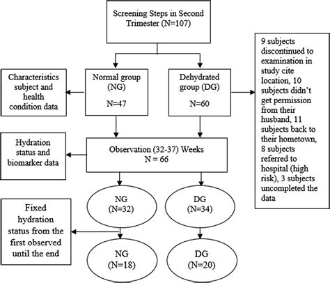 Effect of dehydration during pregnancy on birth weight and length in ...