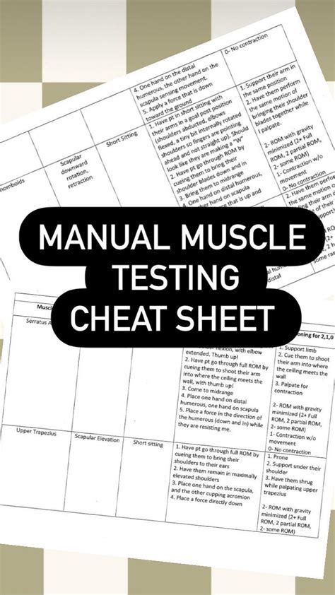 Manual Testing Cheat Sheet PDF 的图像结果