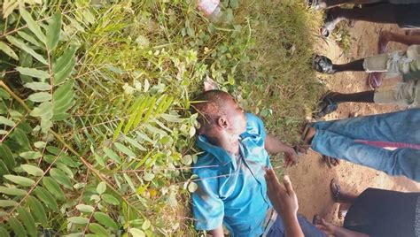 pussy titi massacre tutorial