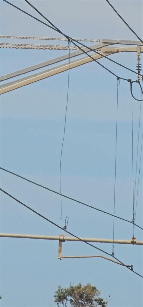 Is there a way for the public to notify Metro of damaged overhead wires ...