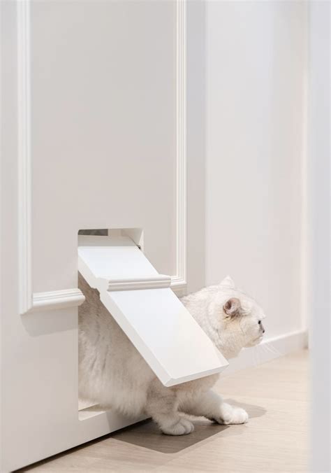 Pin by OVC Design on Pet House | Diy interior cat door, Cat room, Cat ...