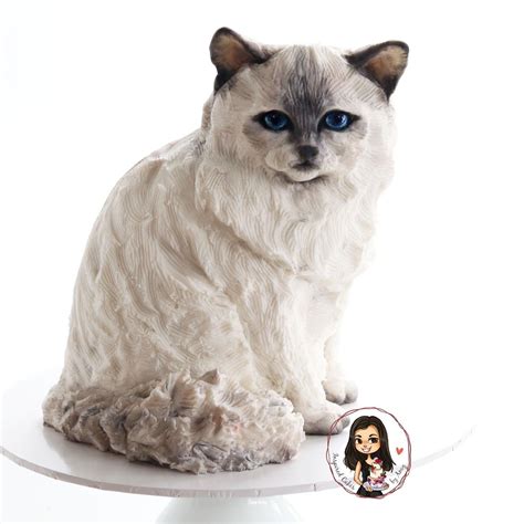 Sculpted Cat Cake Tutorial 的图像结果