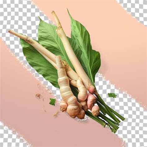 Galangal aroma PSD, High Quality Free PSD Templates for Download | Freepik