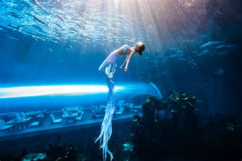 三亚水下摄影打卡地-蒂铂海洋世界水摄项目上线了-特缔思潜水，三亚潜水，水下摄影