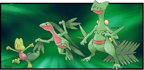 Image result for Pokemon Treecko Evolution
