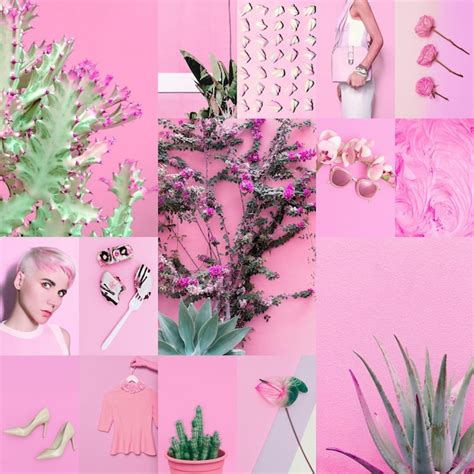 Set of trendy aesthetic photo collages minimalistic images of one top ...