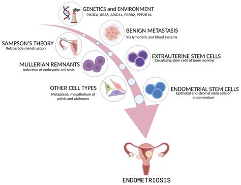 Pathogenesis of Endometriosis and Endometriosis-Associated Cancers