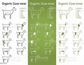 Image result for Rabbit Meat Cuts Diagram