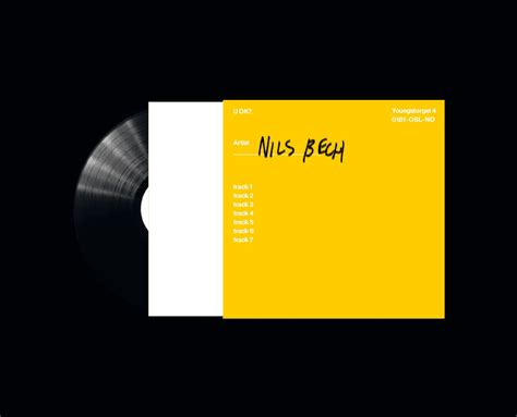 Image result for DIY CD Design