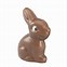 Image result for Cute Chocolate Bunny