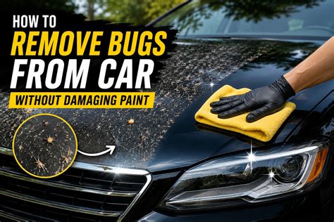 How To Remove Bugs From Car Without Damaging Paint: Visual Guide With ...