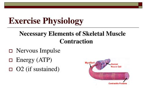 Exercise Science 的图像结果