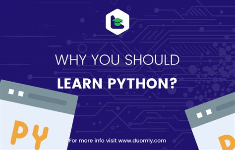 Why Learn Python 的图像结果