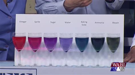 Red Cabbage Indicator 的图像结果