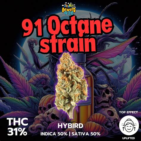 91 Octane strain THC สูงเพื่อการผ่อนคลายและสบายตัว