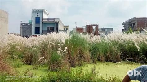Kichha near surajmal college - Lands & Plots - 1822919703