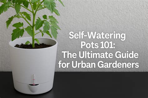 The Ultimate Comprehensive Guide On Self-Watering Pots for Urban ...