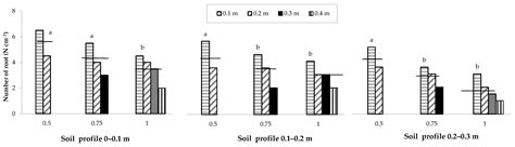 Maize Yield Response, Root Distribution and Soil Desiccation Crack ...