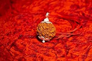 The Millennium Gallery Nepali 7 Mukhi Rudraksha Original Certified By ...