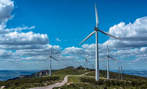 2018年全球风力发电机订单增长三成 四家中国公司进入了前十名_新能源资讯_新能源网