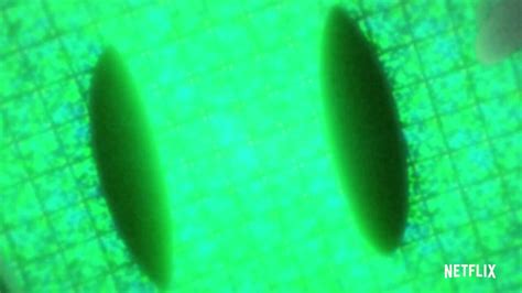 Image result for Baseball Mask High-Rise Invasion