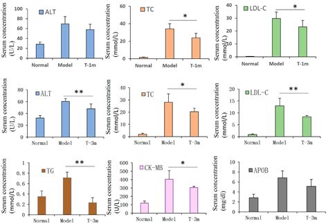 Allogeneic Adipose-Derived Mesenchymal Stem Cell Transplantation ...