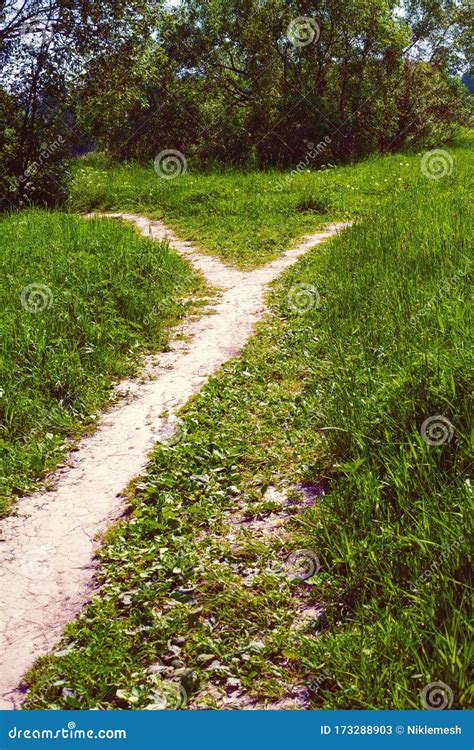 Image result for Path Divides