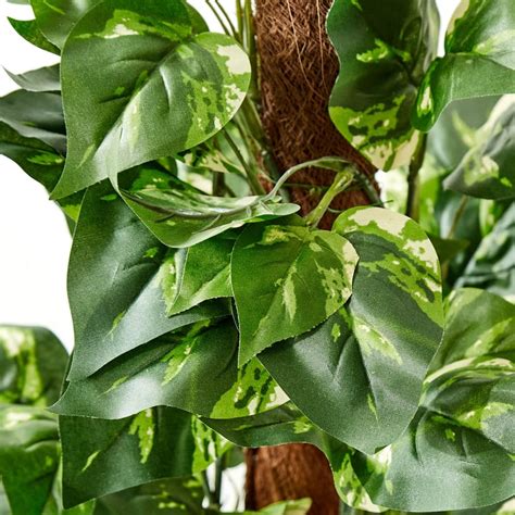 Buy Gardenia Flora Artificial Ficus Tree in Pot - 90cm from Home Centre ...