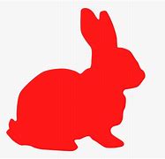 Image result for A Rabbit Cartoon