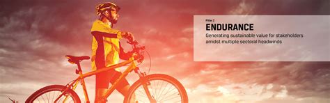 Endurance | Annual Report JSW Energy Limited