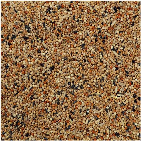 Buy Bird Food for Budgies and Finches Birds- Mix Seeds 1 KG Online at ...