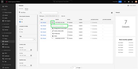 資料集UI指南 | Adobe Experience Platform