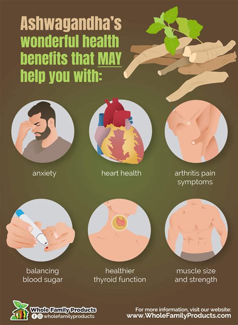 Common Questions About Ashwagandha: A Guide To The Benefits of This Ancient Herb