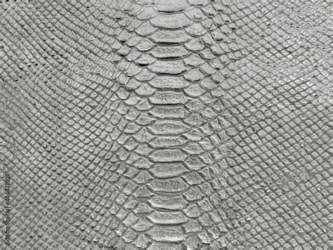 Image result for Python Skin Background