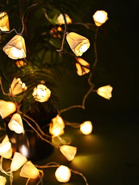 Buy Handcrafted Shola Flowers Fairy Light Online
