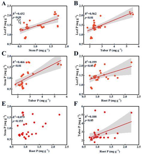 Nitrogen and Phosphorus Stoichiometry of Bolboschoenus planiculmis ...