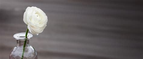 J. C. Kirby & Son Funeral Chapels | Bowling Green KY