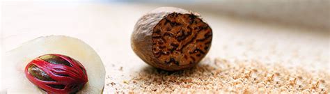 Indian Spices Extract Online | Spice Drop Spice Equivalents