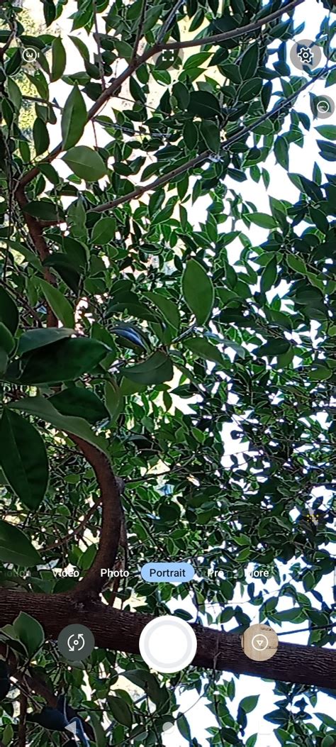 Pixel Camera APK Download for Android Free