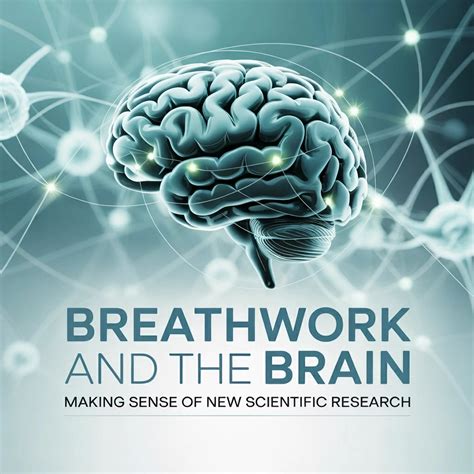 Breathwork and the Brain: Making Sense of New Scientific Research | the ...