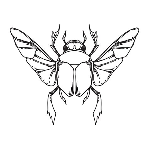 Winged Scarab Beetle Tattoo