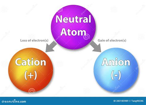 Cations And Anions. Structure Of Ions Vector Illustration ...