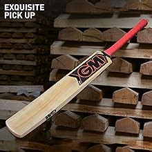 GM Mana Striker Kashmir Willow Cricket Bat with Cross Weave Tape on The ...