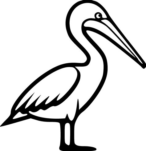 Pelican Outline